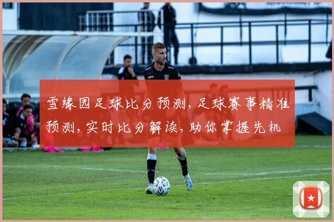 雪缘园足球比分预测,足球赛事精准预测,实时比分解读,助你掌握先机,一触即发