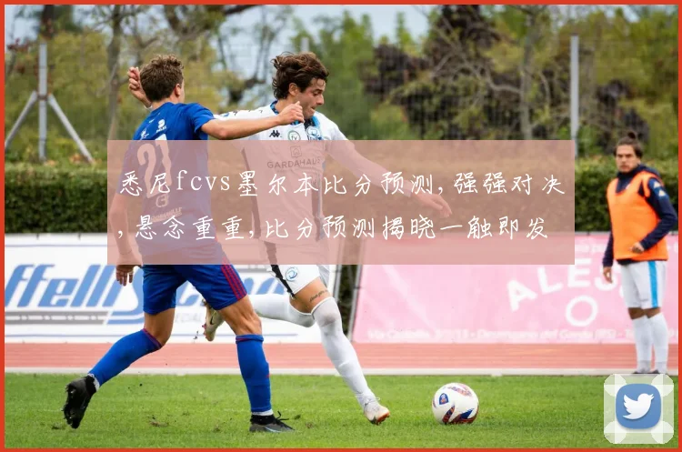 悉尼fcvs墨尔本比分预测,强强对决,悬念重重,比分预测揭晓一触即发
