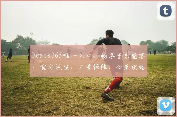 Beats365唯一入口，畅享音乐盛宴，官方认证，三重保障，必看攻略，轻松解锁