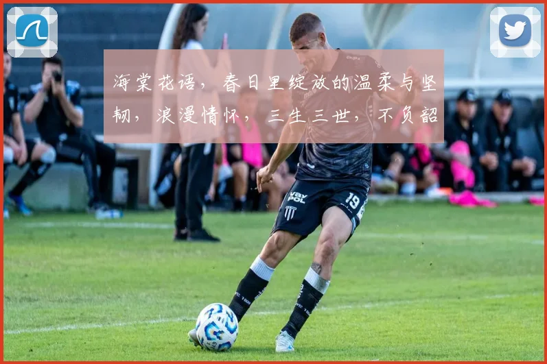 海棠花语，春日里绽放的温柔与坚韧，浪漫情怀，三生三世，不负韶华，花开不败。