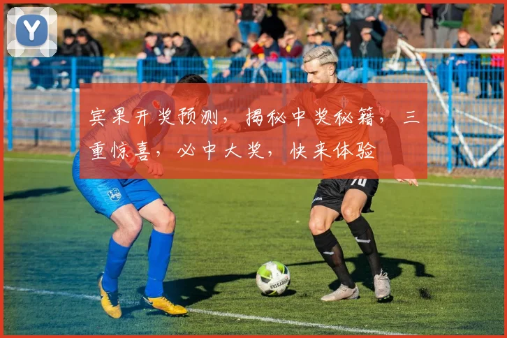 宾果开奖预测，揭秘中奖秘籍，三重惊喜，必中大奖，快来体验